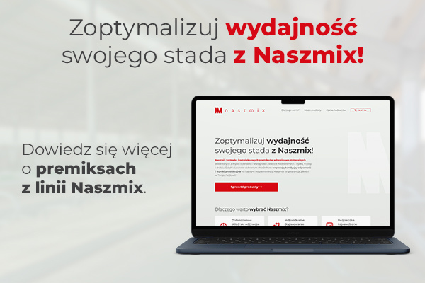 Nowe miejsce pełne informacji o Naszmix